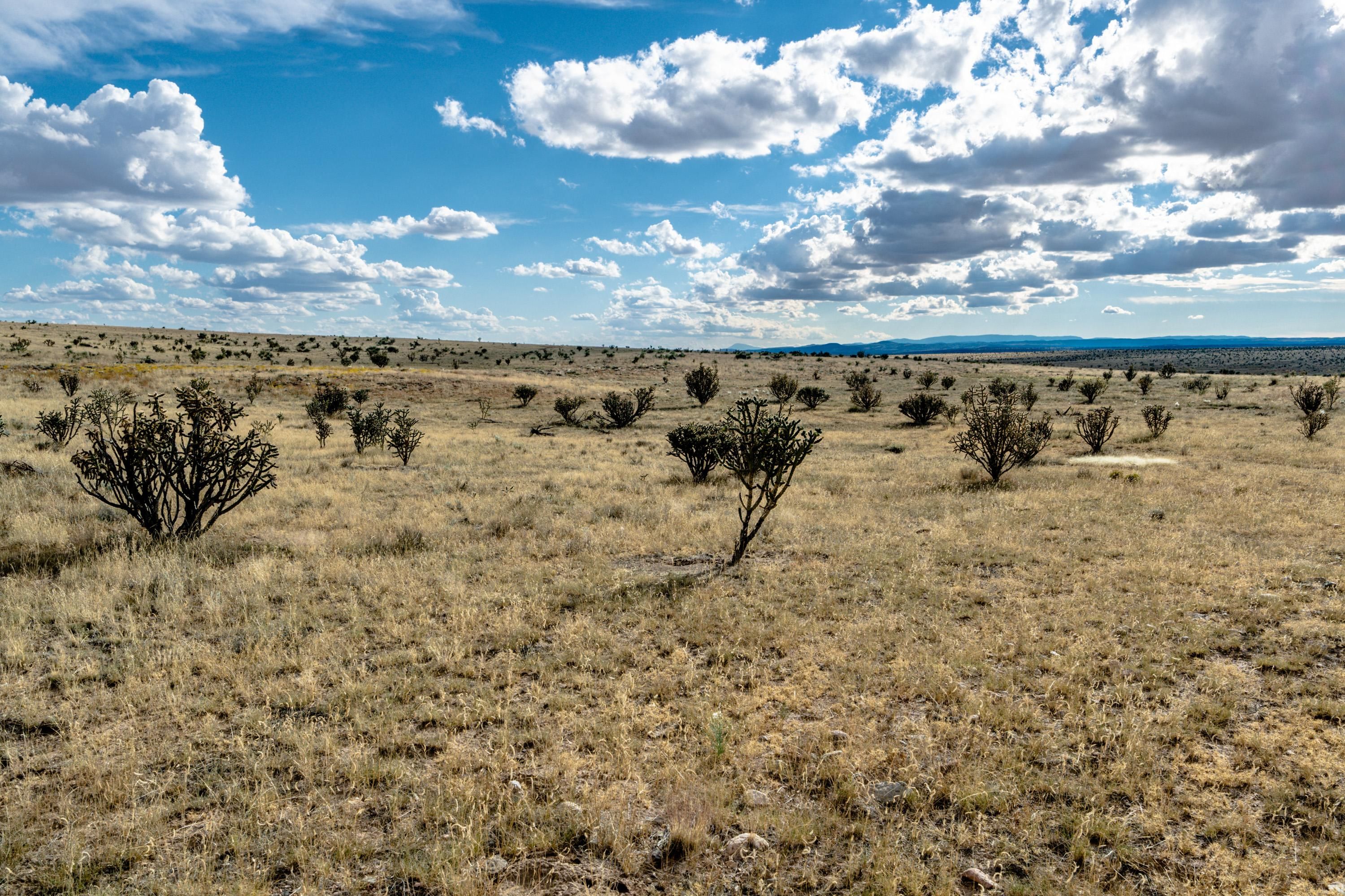 140 acres in Lincoln County, New Mexico