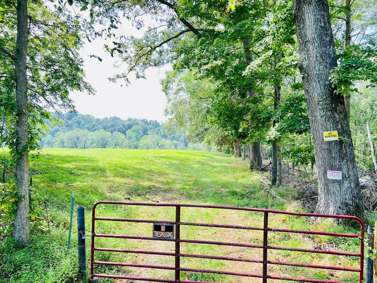 53 acres in Adair County, Kentucky