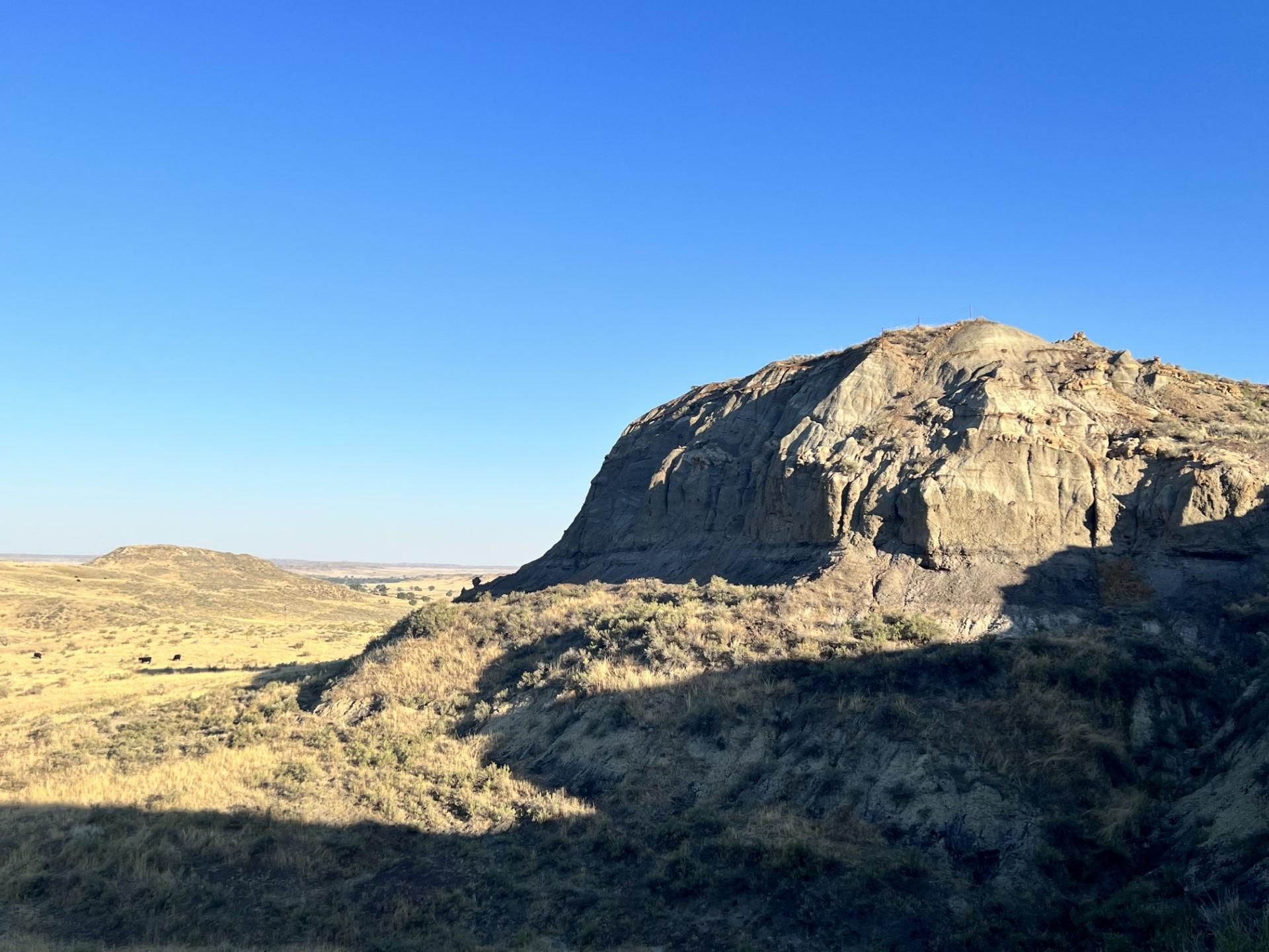 214 acres in Custer County, Montana