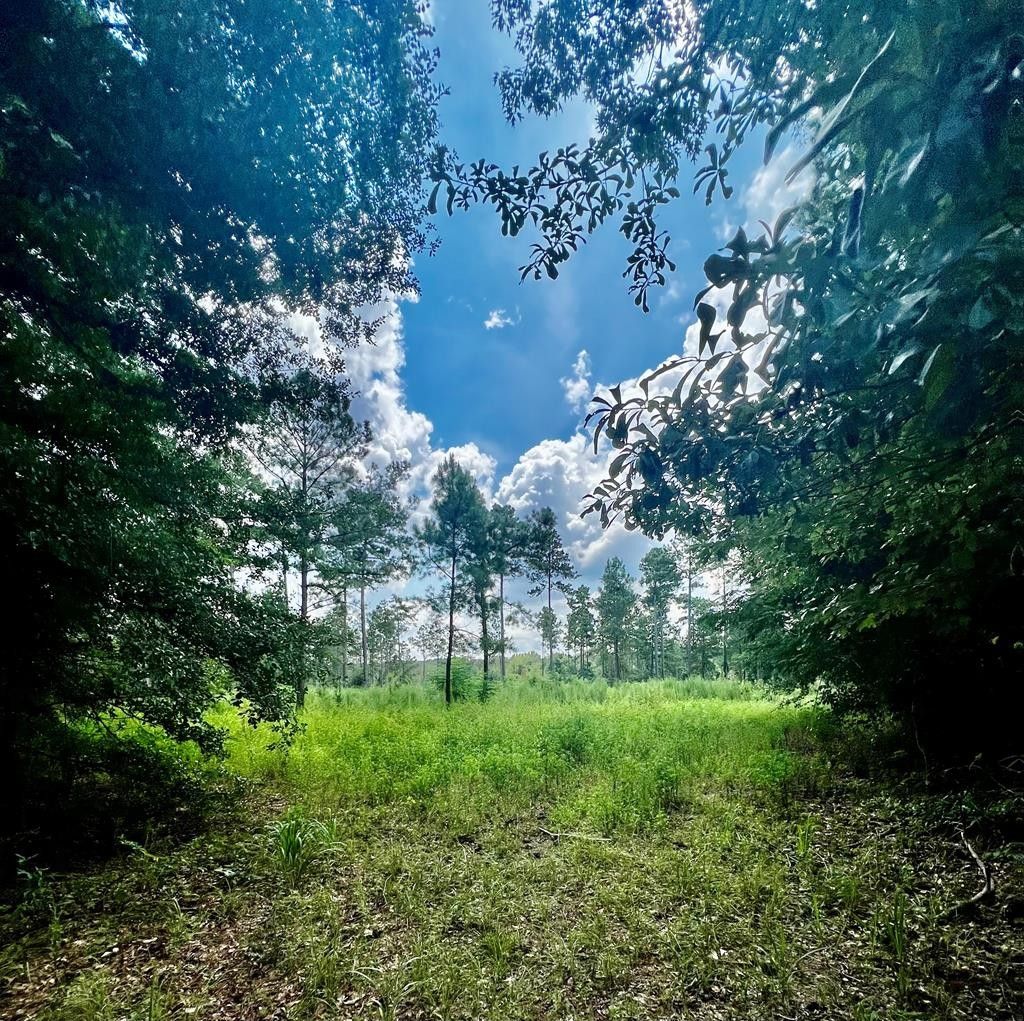 49.2 acres in Early County,