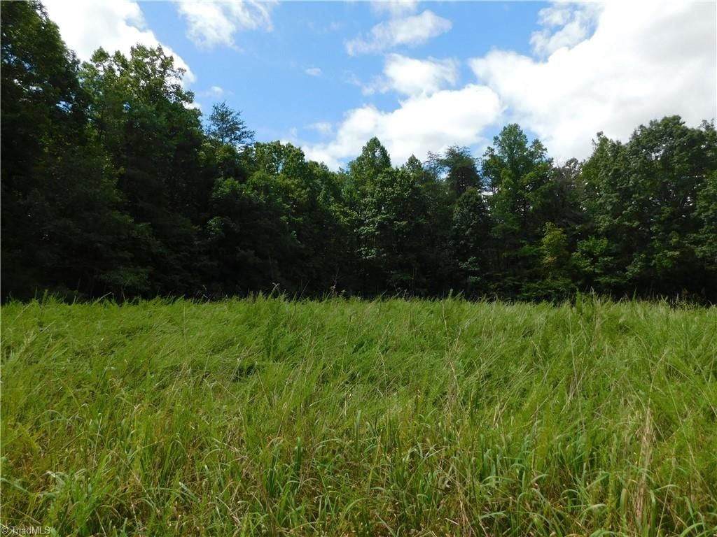 29 acres in Stokes County, North Carolina