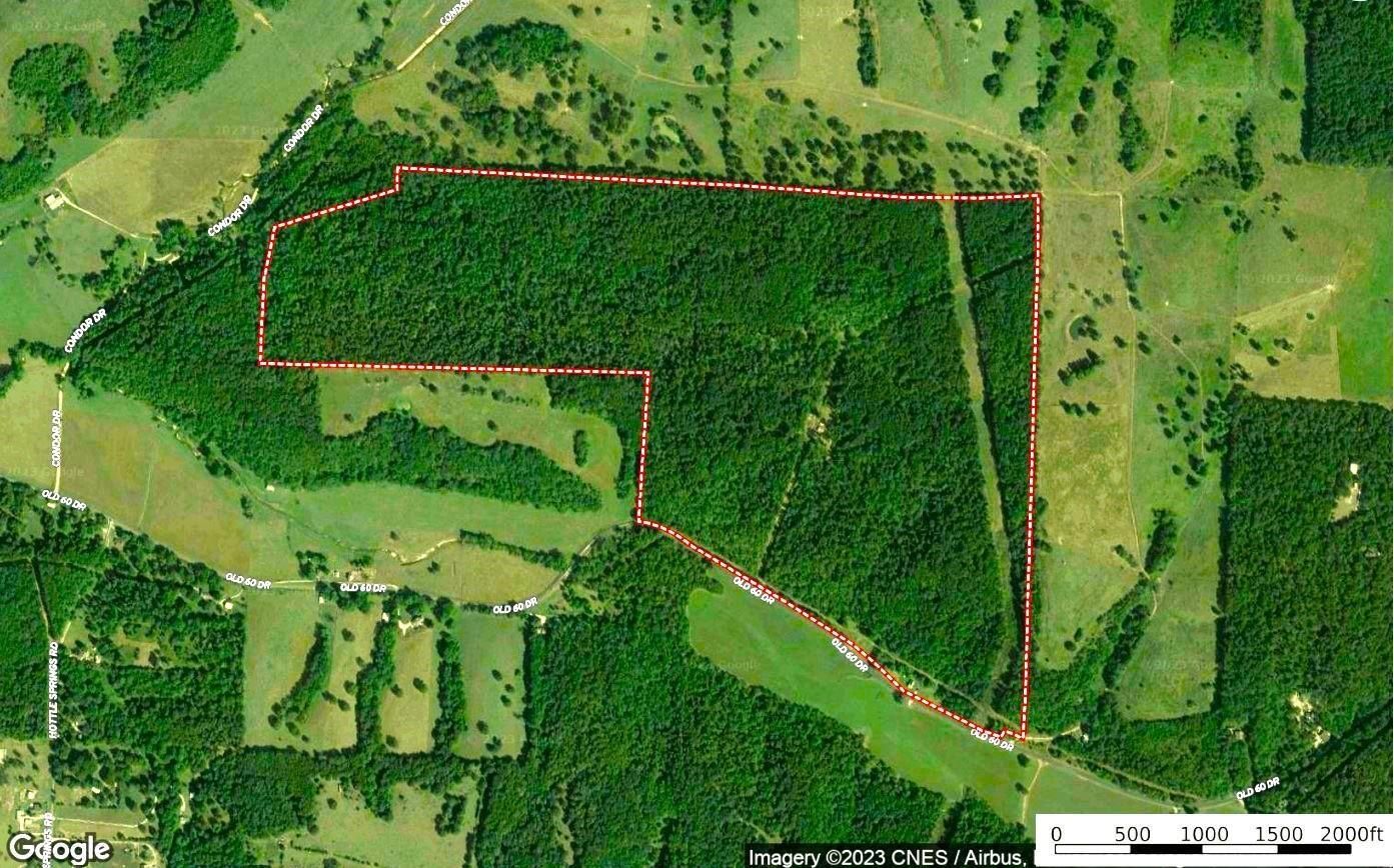 261 acres in Newton County, Missouri