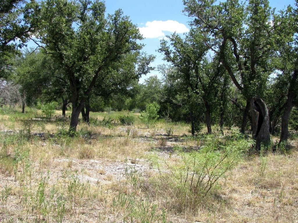 Tbd PR4218, Evant, TX 76525 MLS 20402496