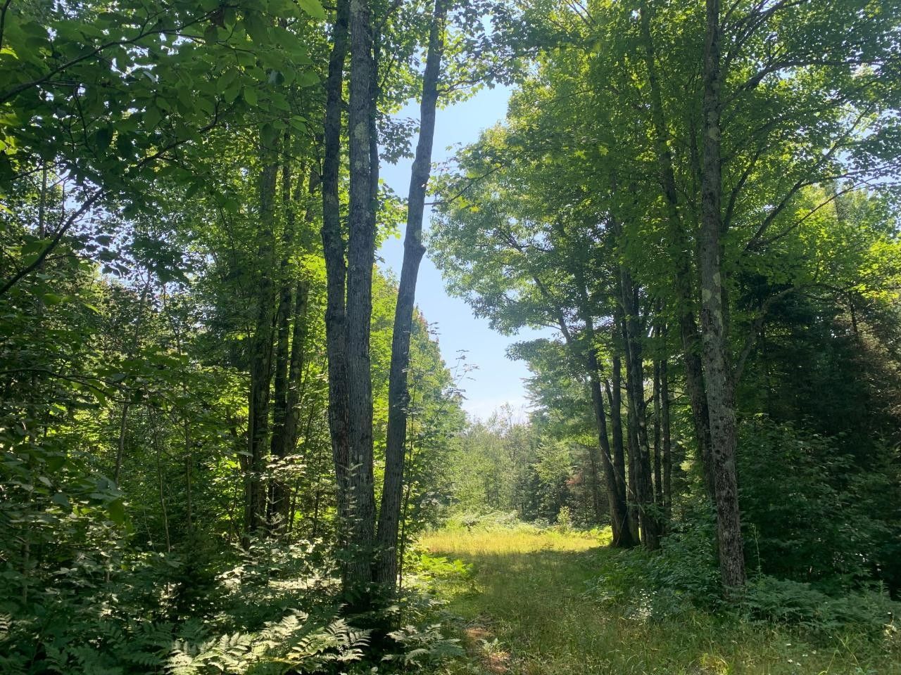 10 acres in Ashland County, Wisconsin