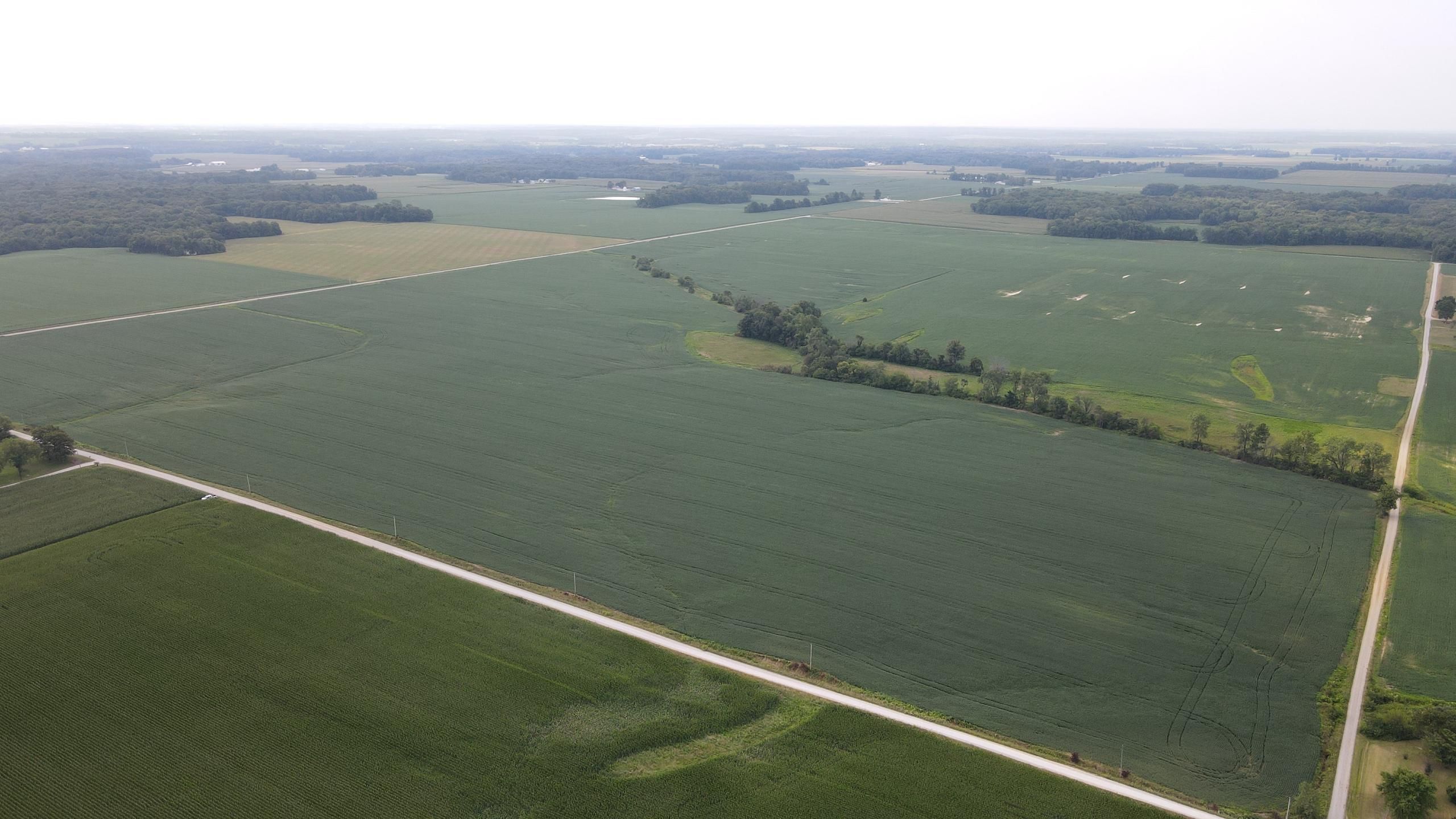 80 acres in Richland County, Illinois