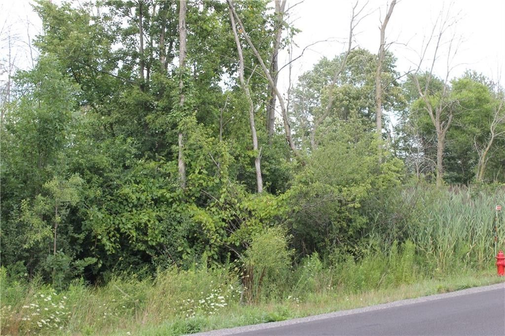 19.7 acres in Genesee County, New York