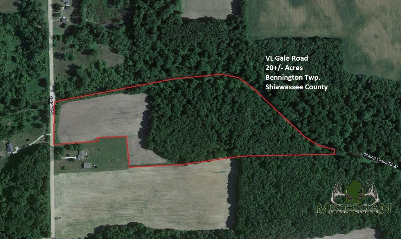 20 acres in Shiawassee County, Michigan