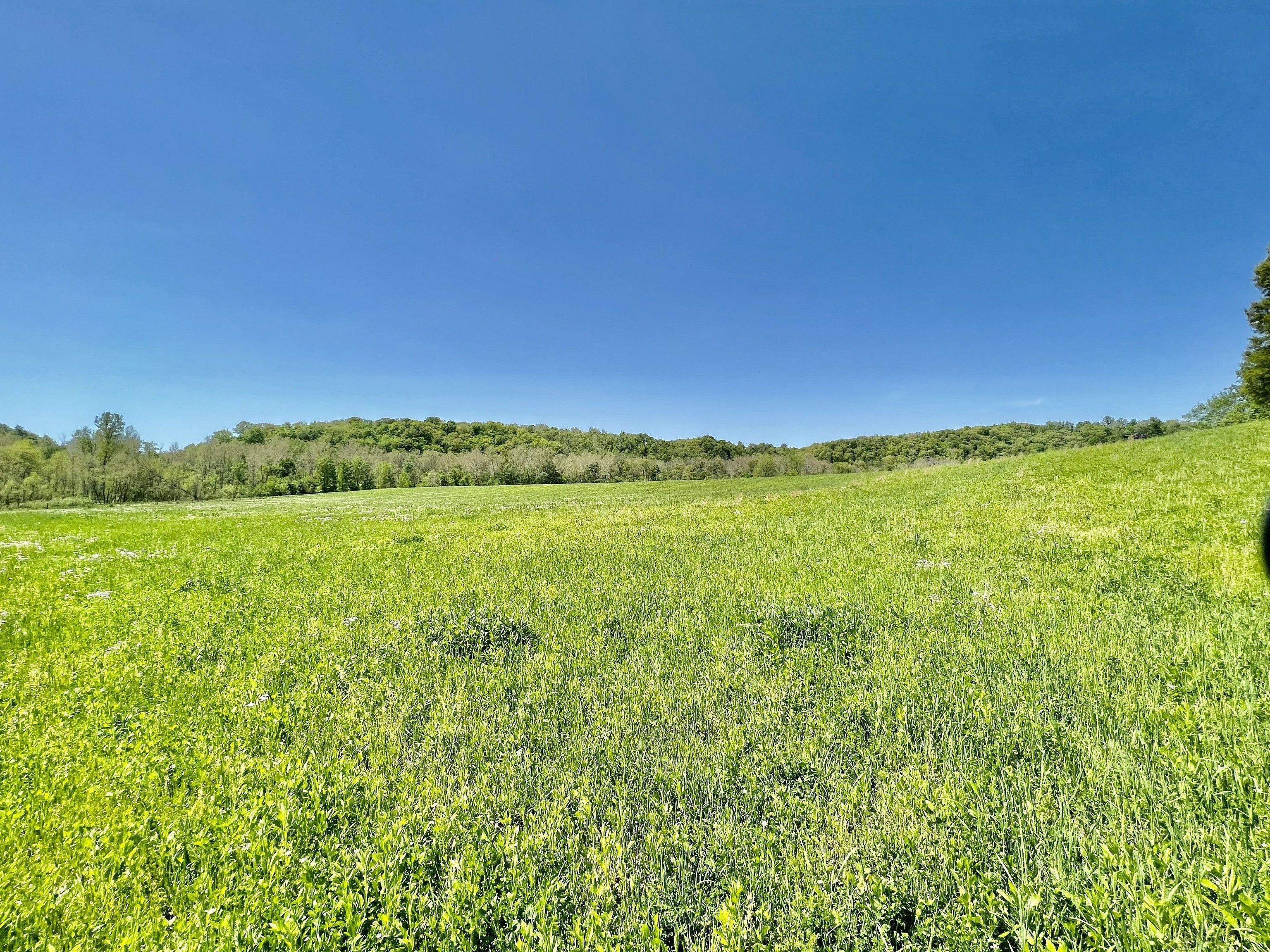 71 acres in Ripley County, Indiana