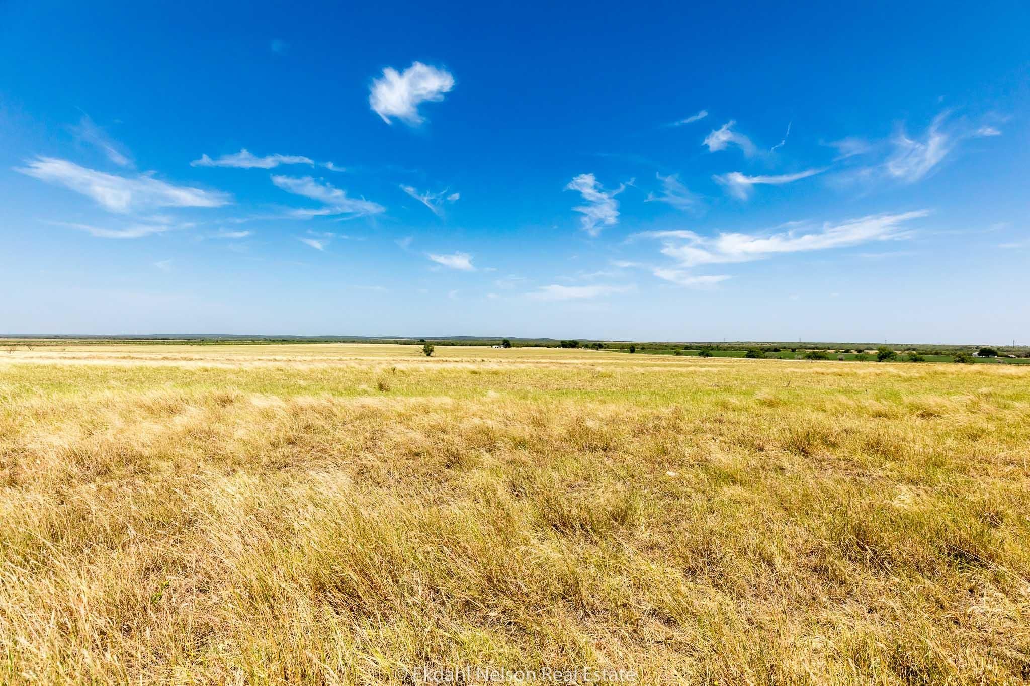 96 acres in Taylor County, Texas