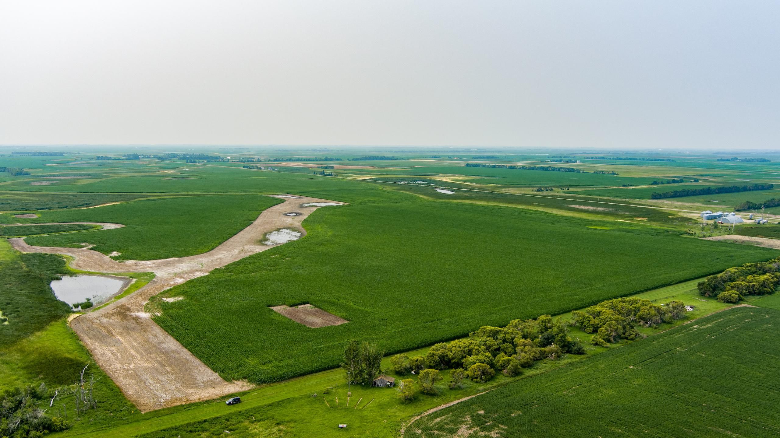 313 acres in Brown County, South Dakota