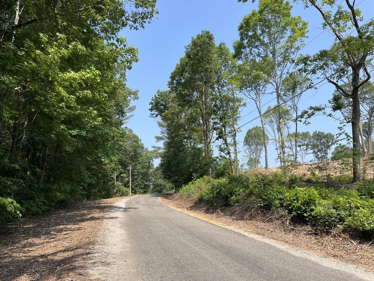 75 acres in Franklin County, Alabama