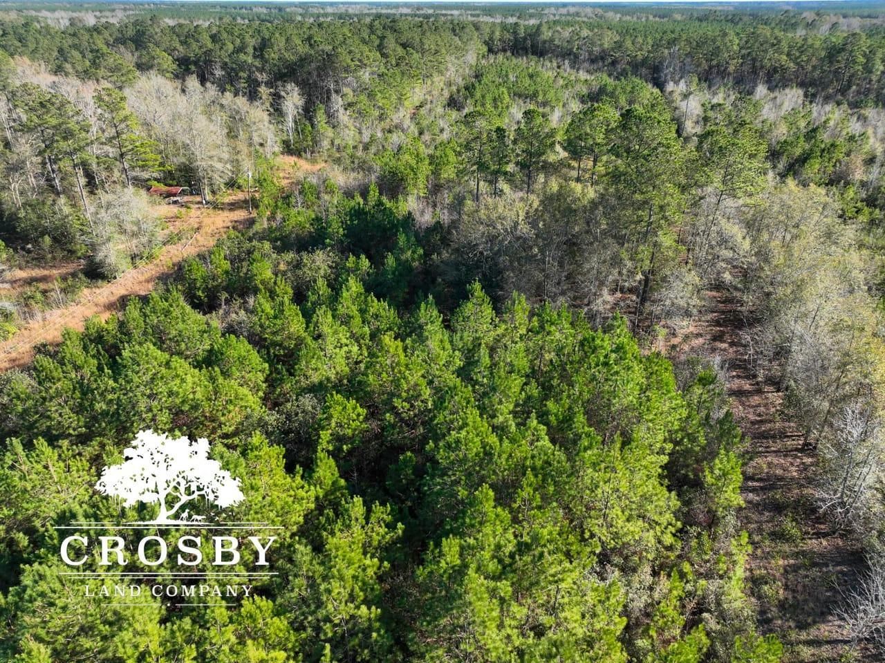 15.45 acres in Berkeley County, South Carolina