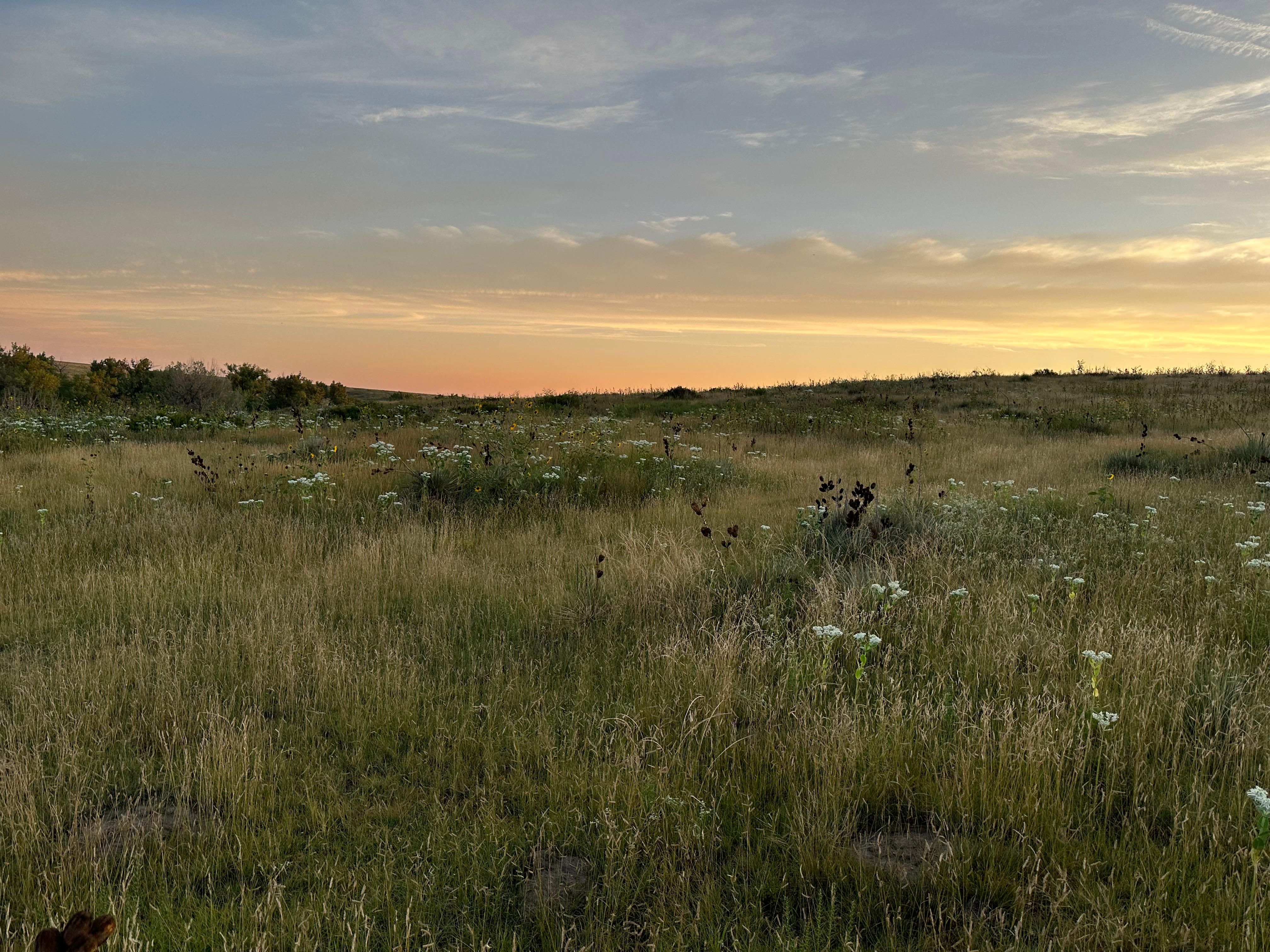 400 acres in Lane County, Kansas