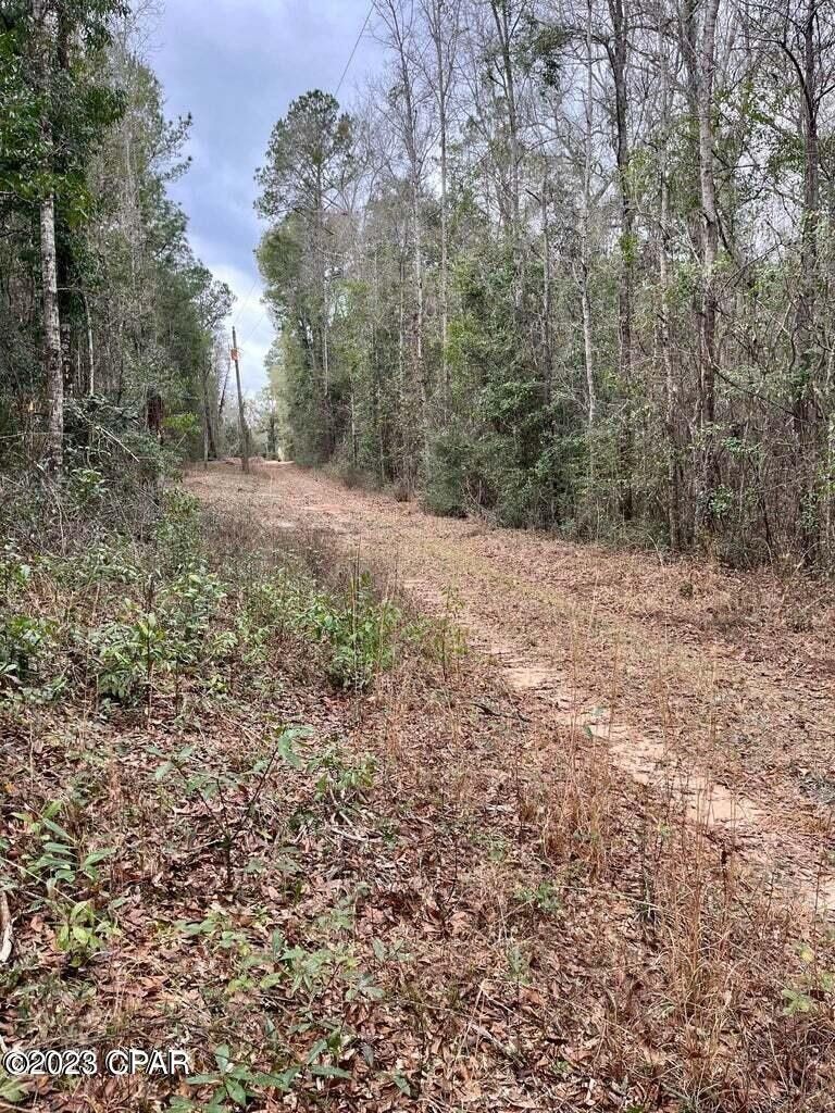 1.11 acres in Holmes County, Florida