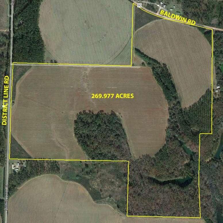 269 acres in Randolph County,
