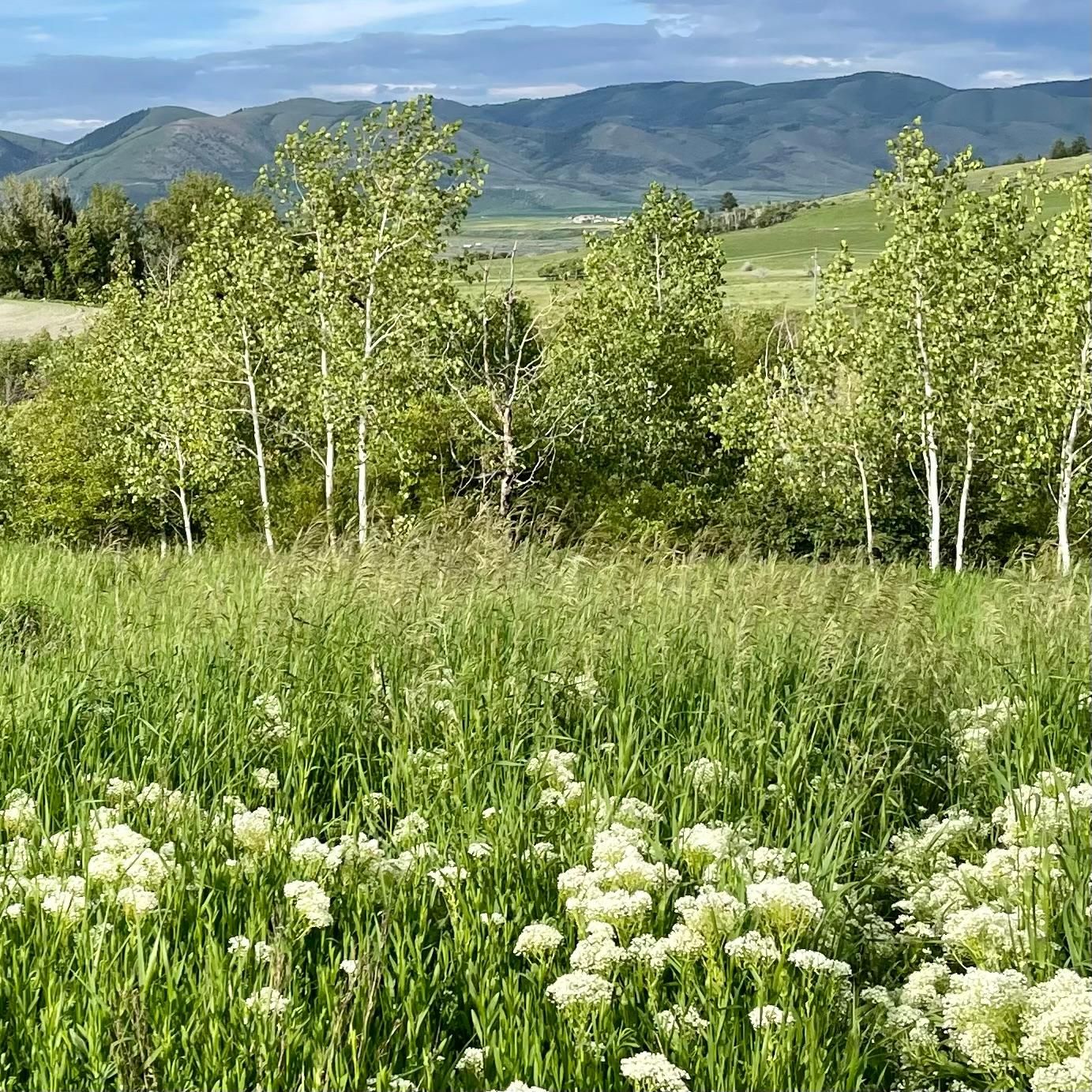 1 acres in Caribou County, Idaho