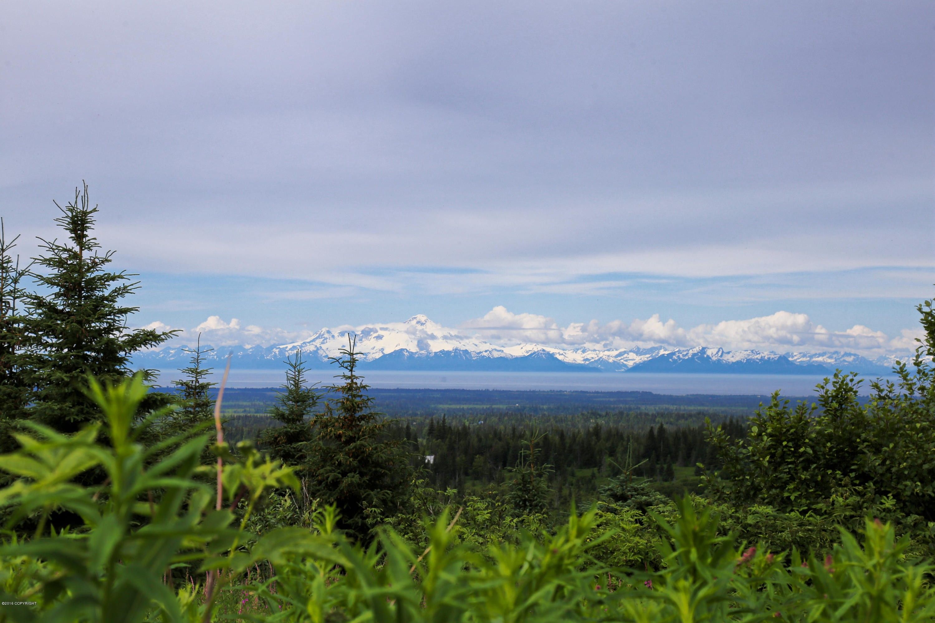20 acres in Kenai Peninsula Borough, Alaska