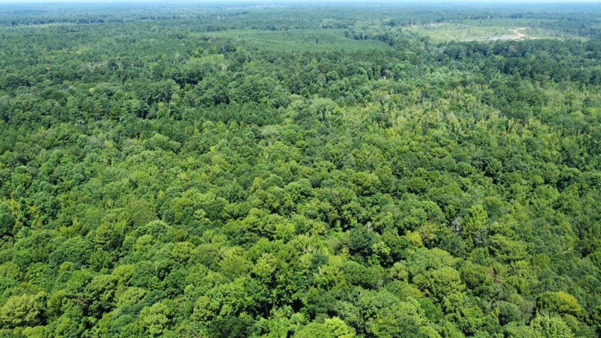 42 Acres, Leake County, MS, Carthage, MS 39051