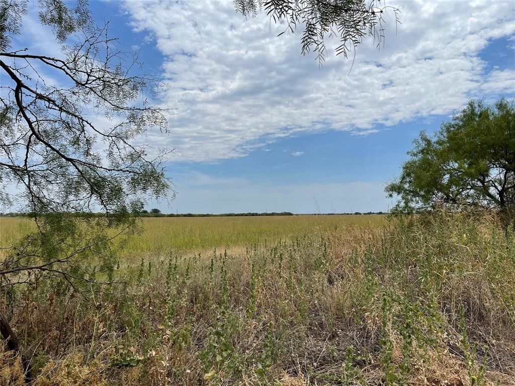 160 acres in Jones County, Texas