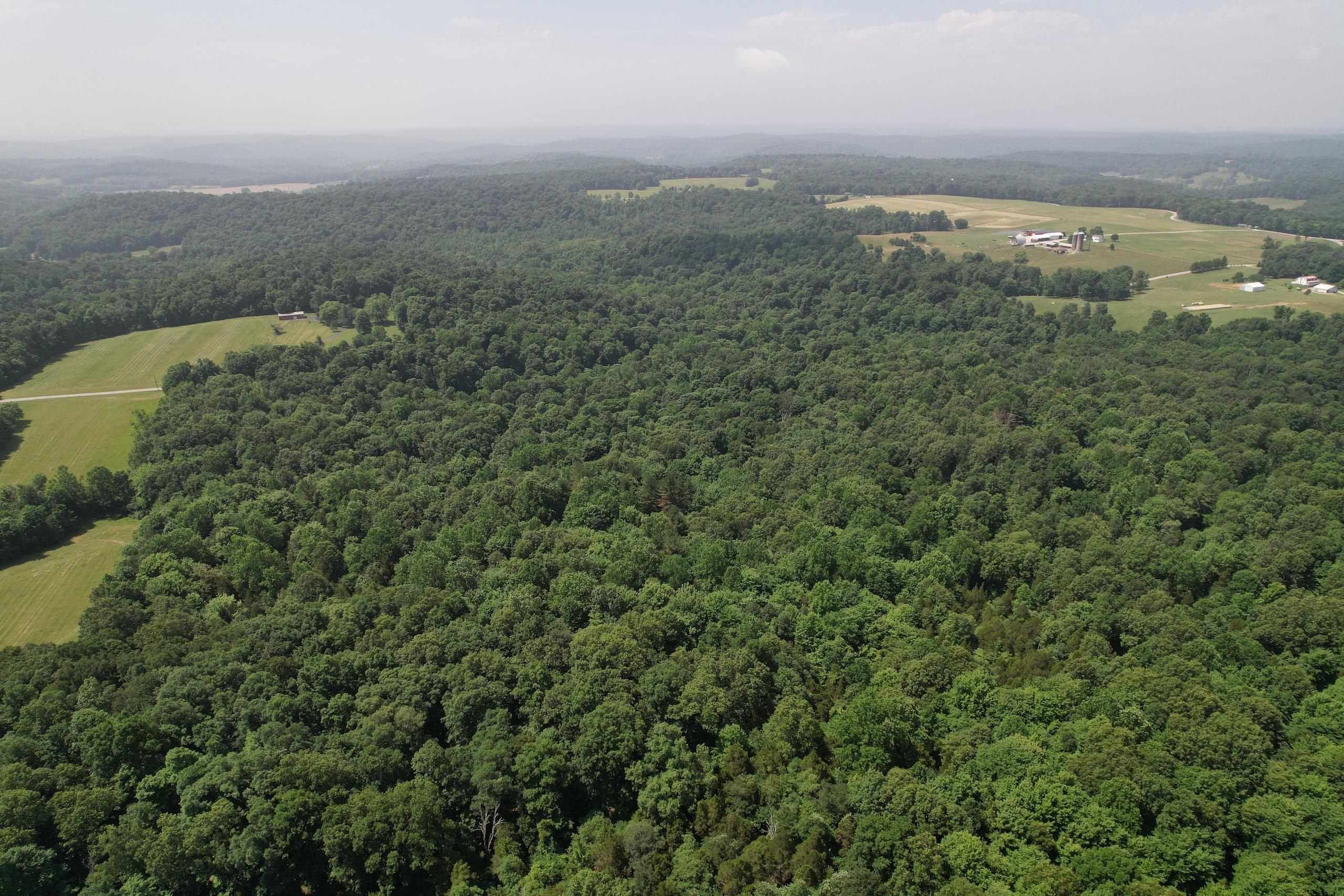 68.55 acres in Harrison County, Indiana