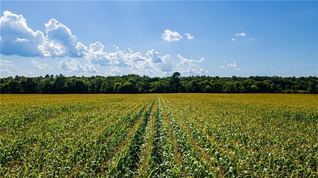 40 acres in Chippewa County, Wisconsin
