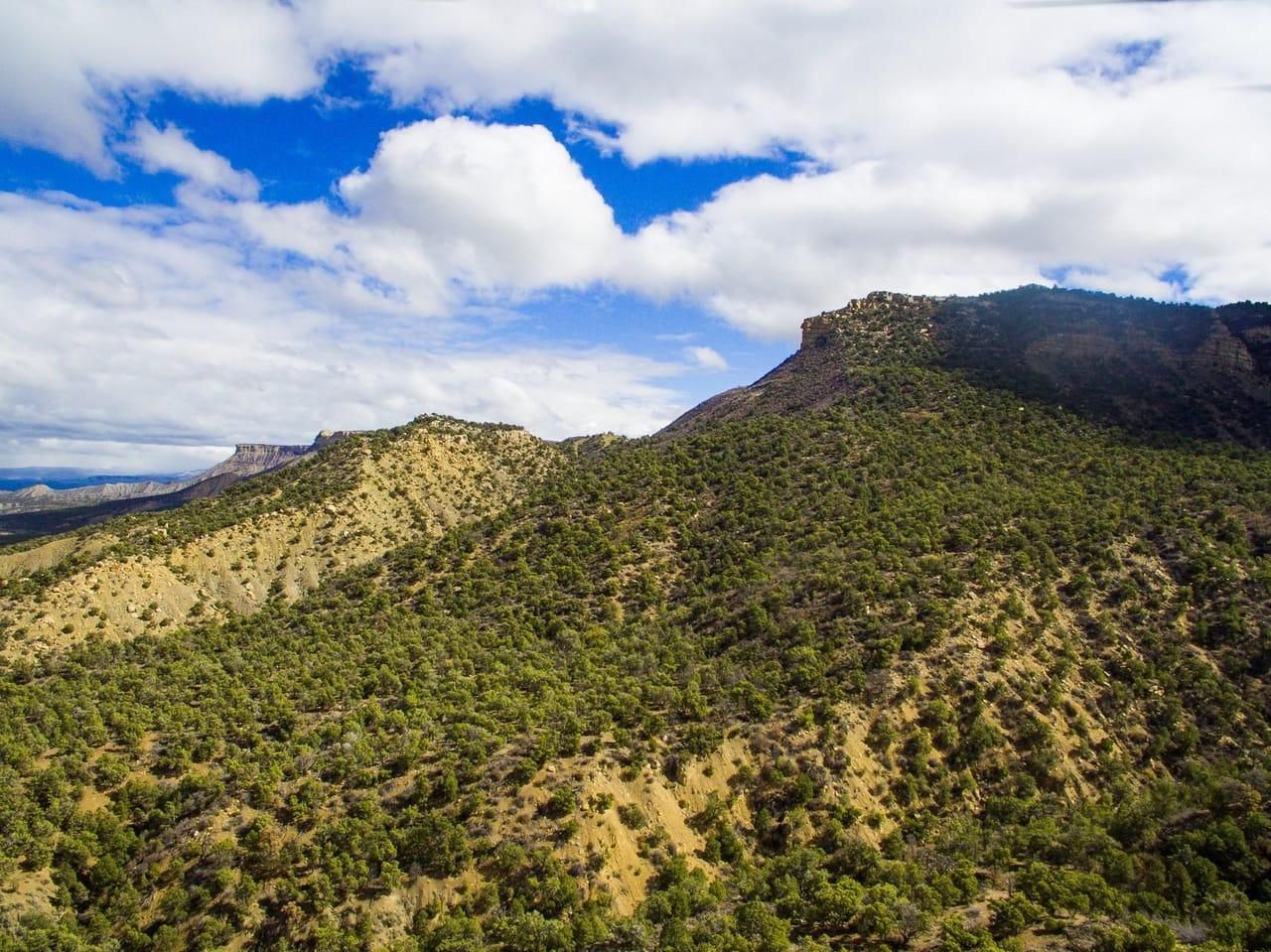 160 acres in Montezuma County, Colorado