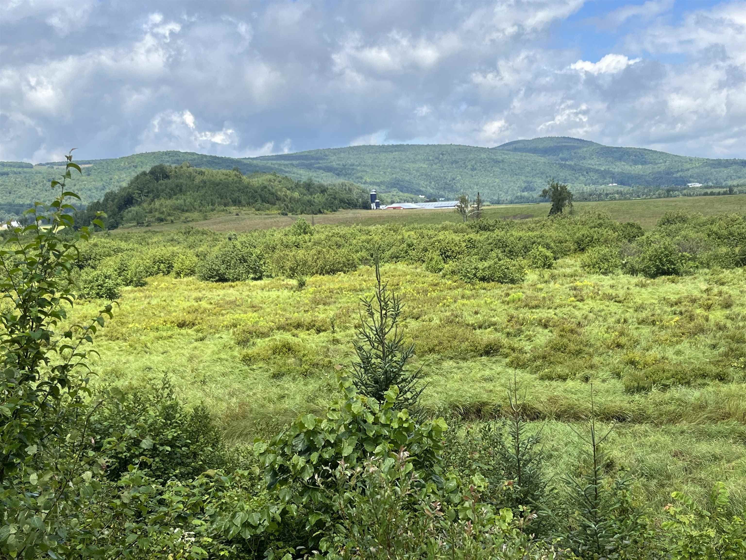 40 acres in Orleans County, Vermont