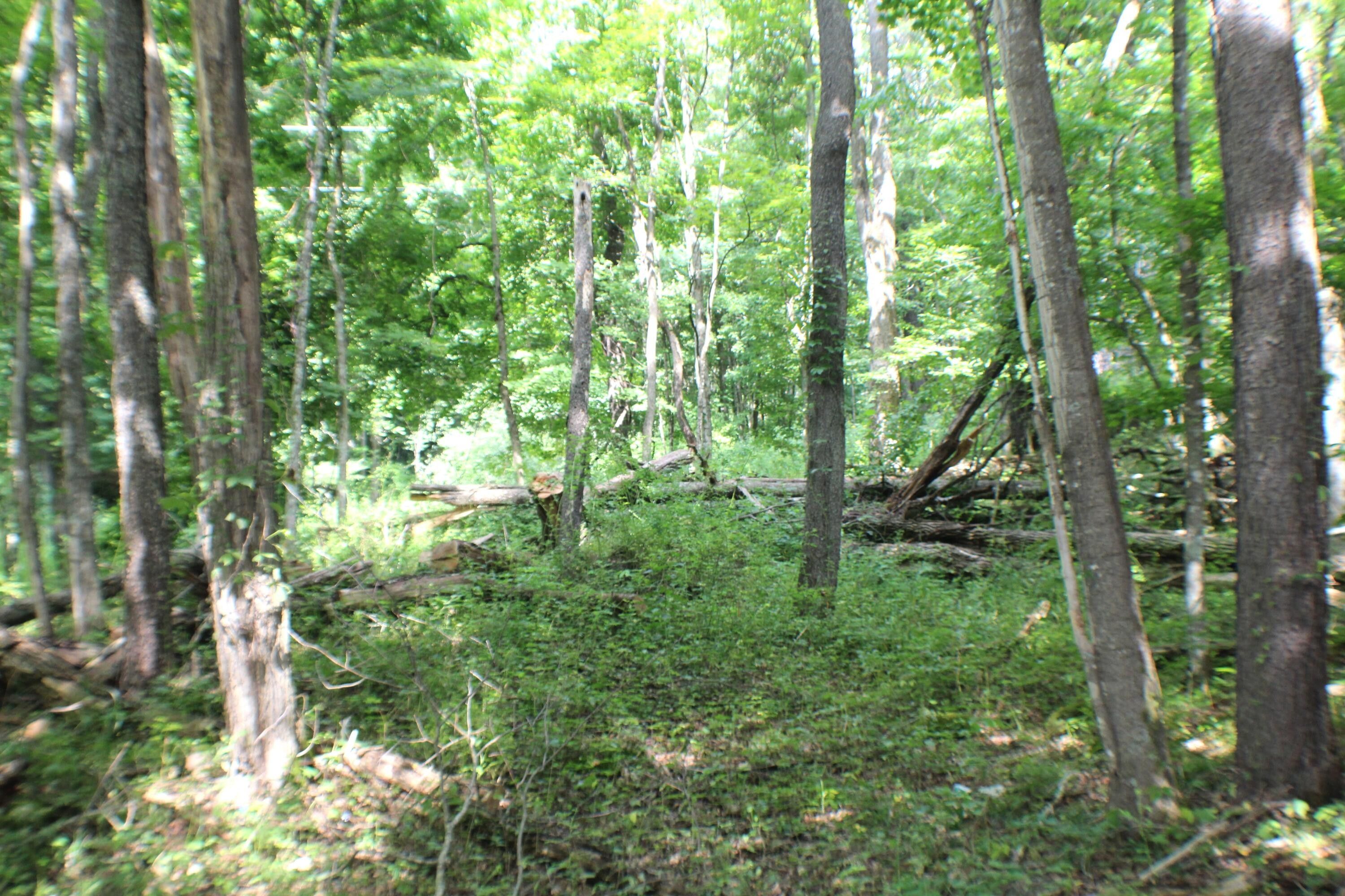 0.74 acres in Pocahontas County, West Virginia