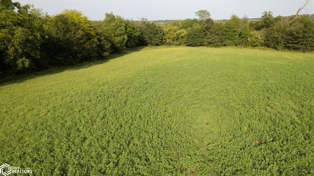130 acres in Monroe County, Iowa