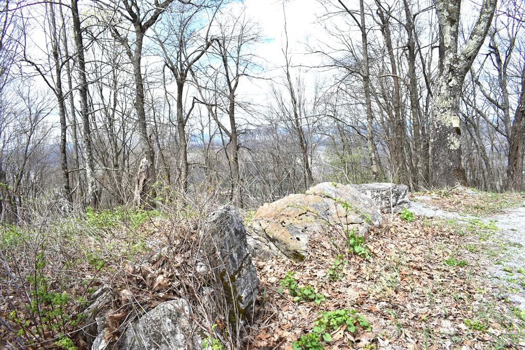 55 acres in Tazewell County, Virginia