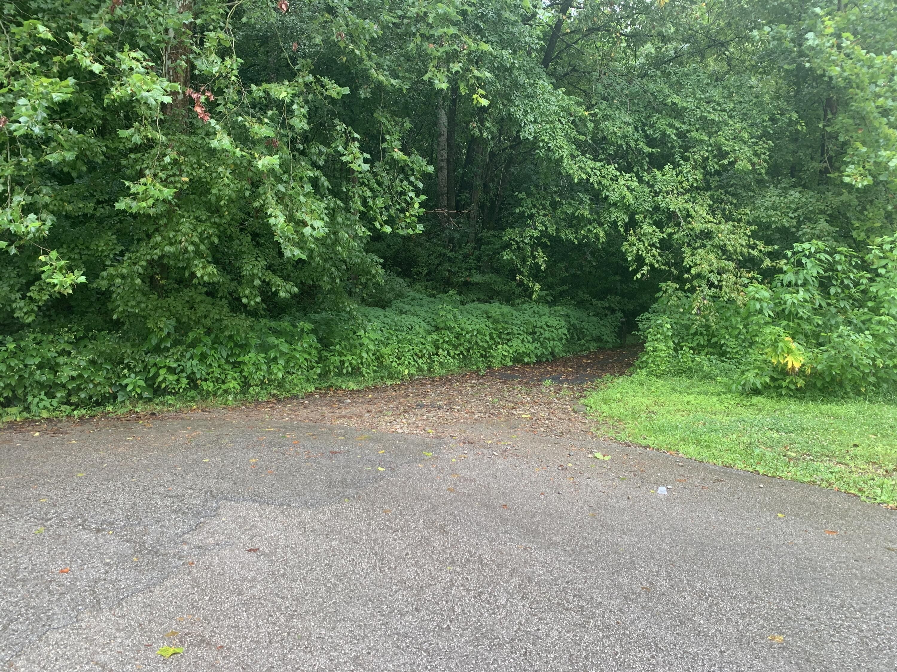 444 acres in Harlan County, Kentucky