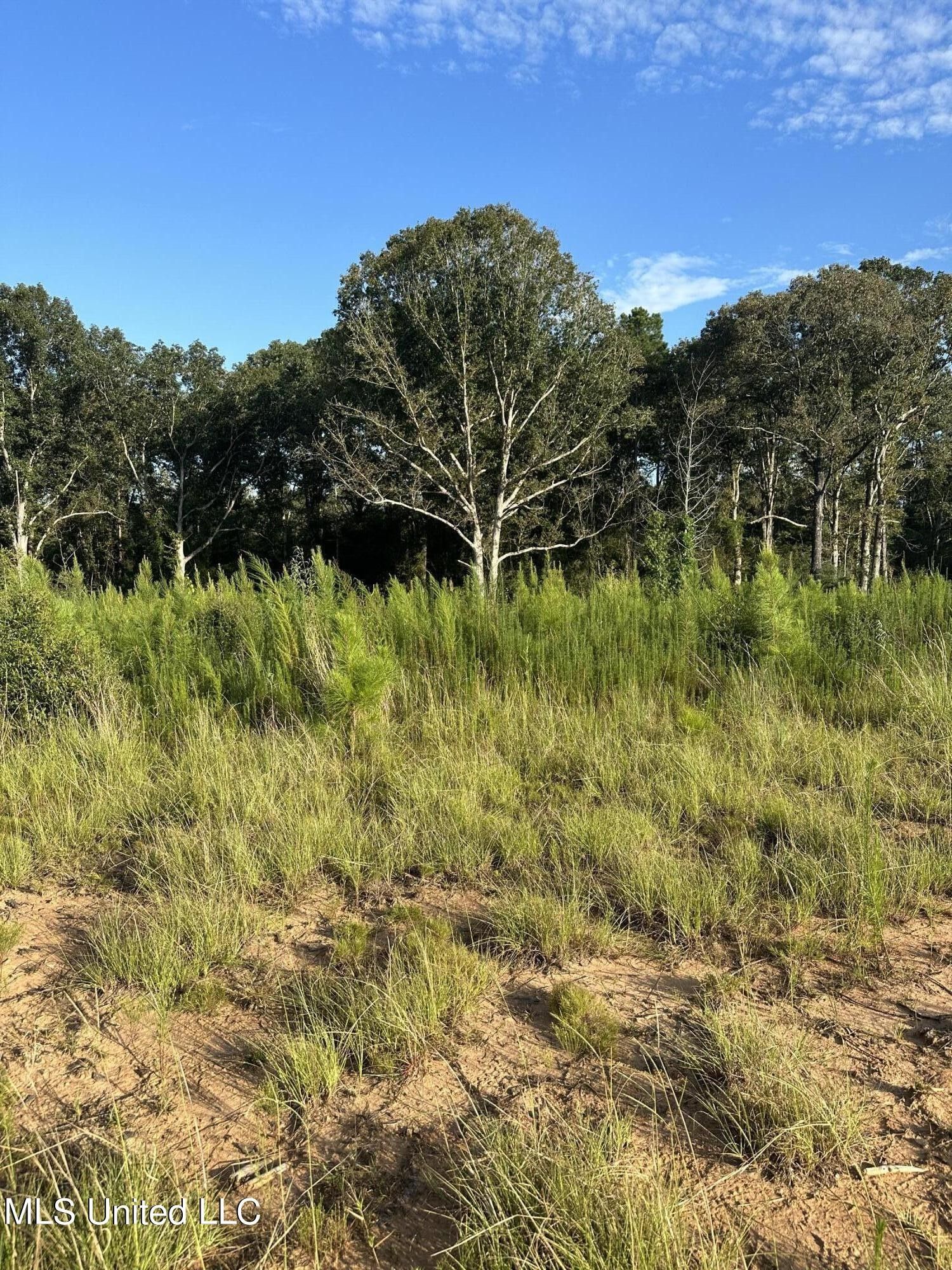 10 acres in Jefferson Davis County, Mississippi