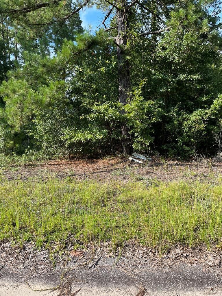 Vacant Lot, Lots Cordova, SC