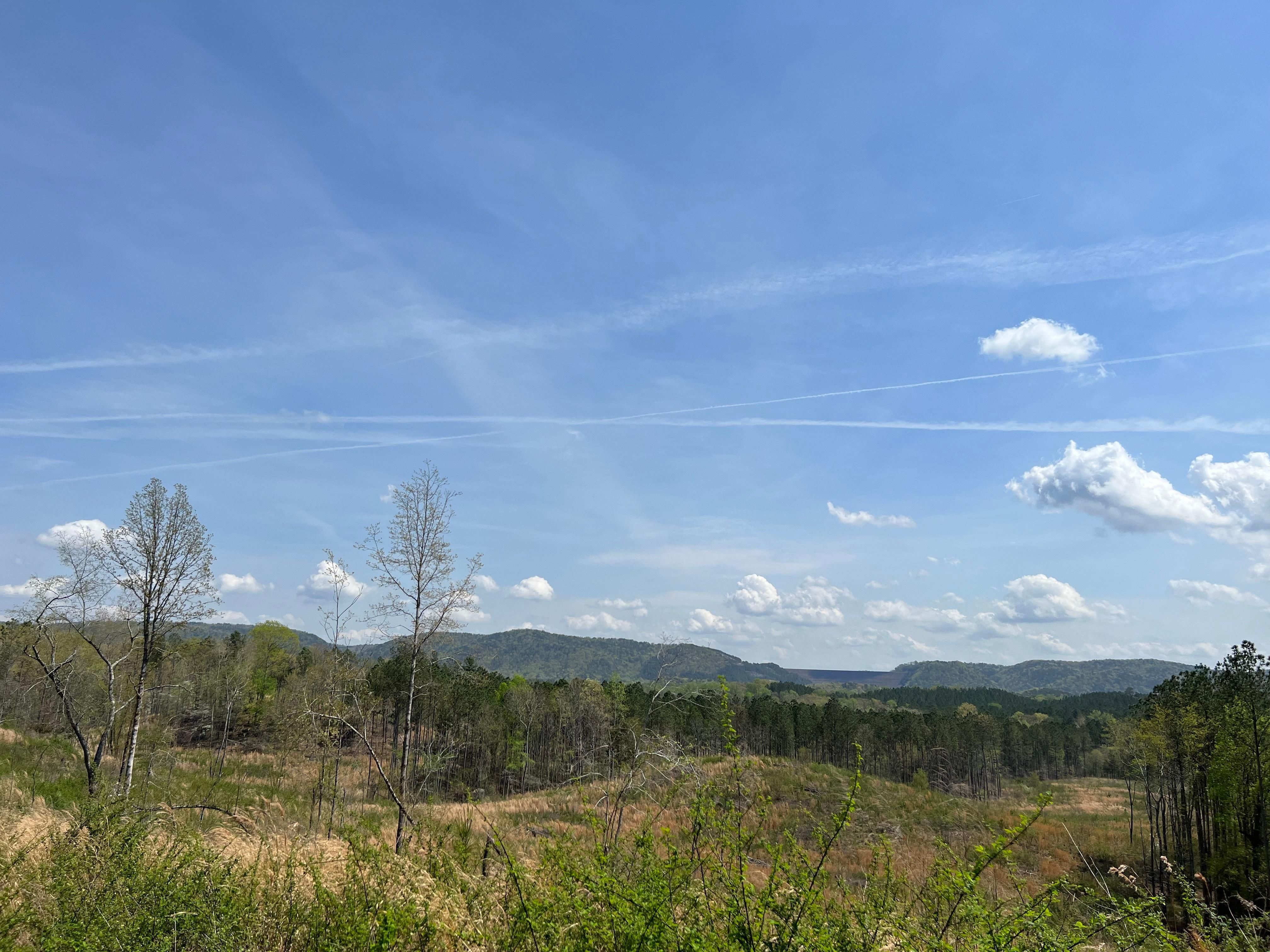 47 acres in Murray County,