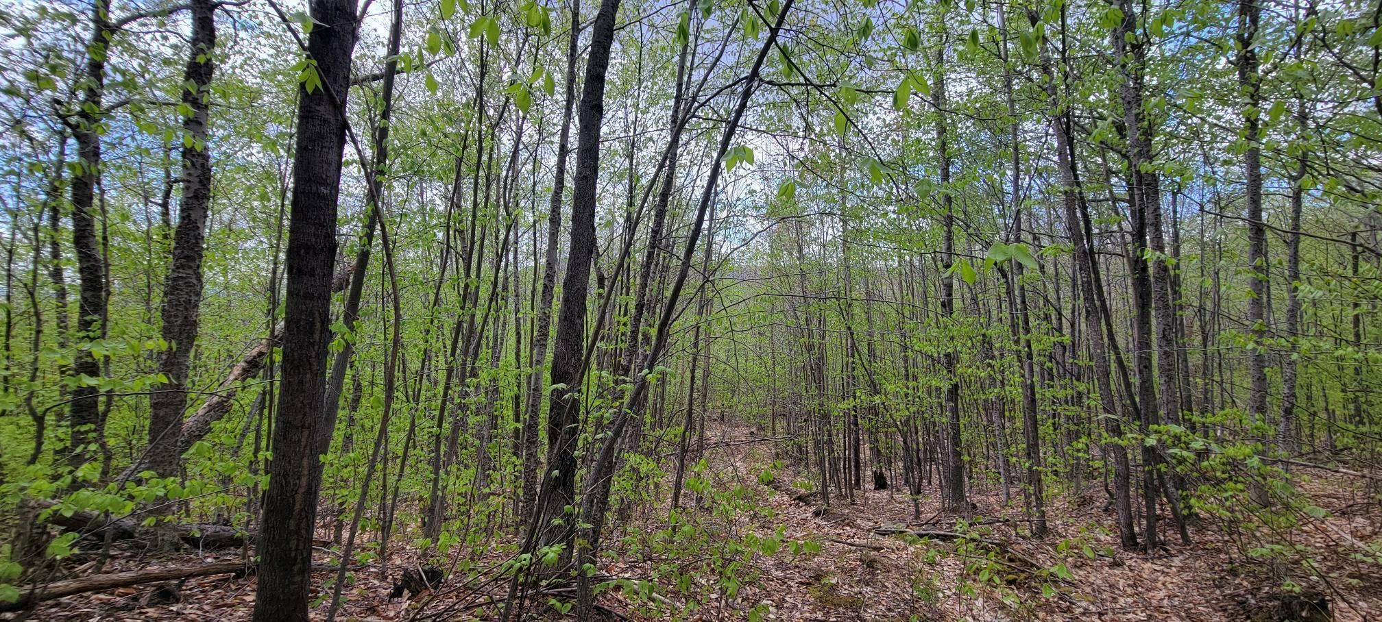 65 acres in Byron, ME, 04275