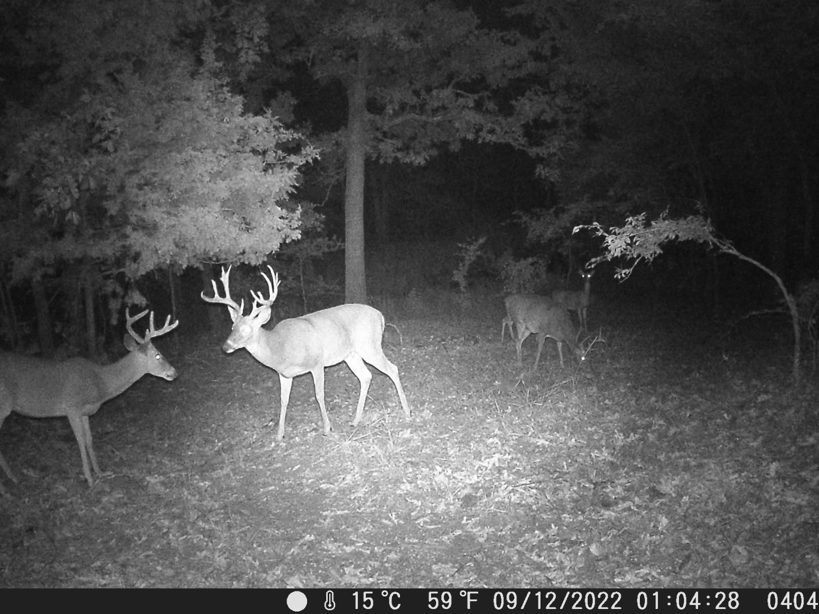 15 acres in Creek County, Oklahoma