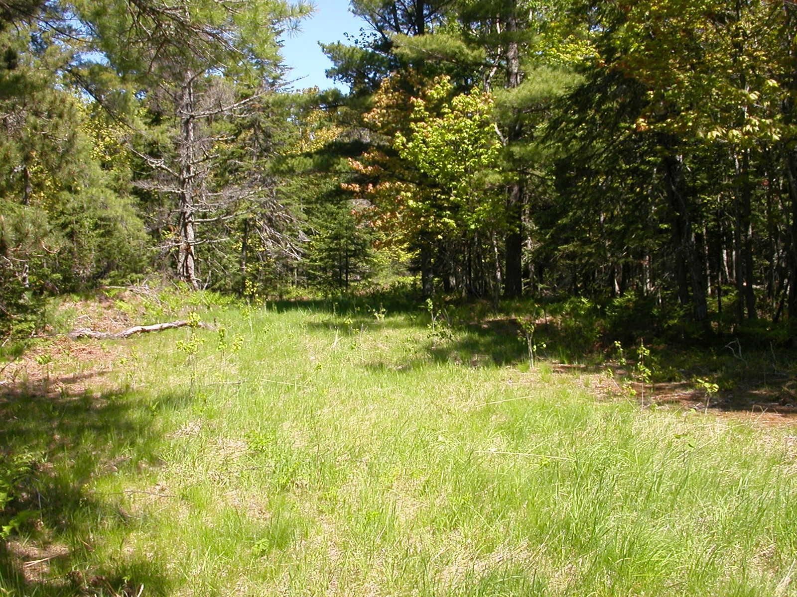 1.05 acres in Keweenaw County, Michigan