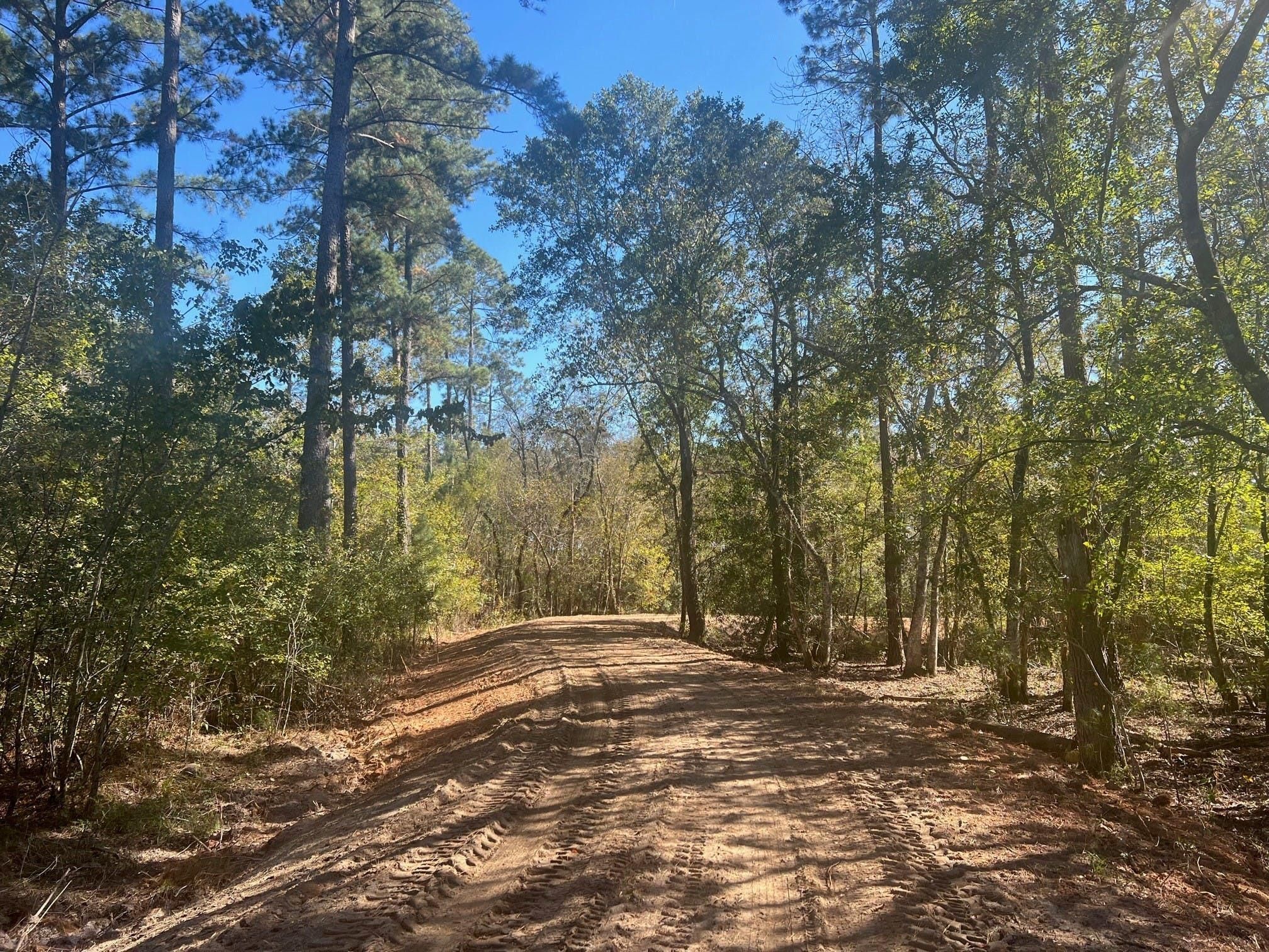 781 acres in Rebecca, GA, 31783