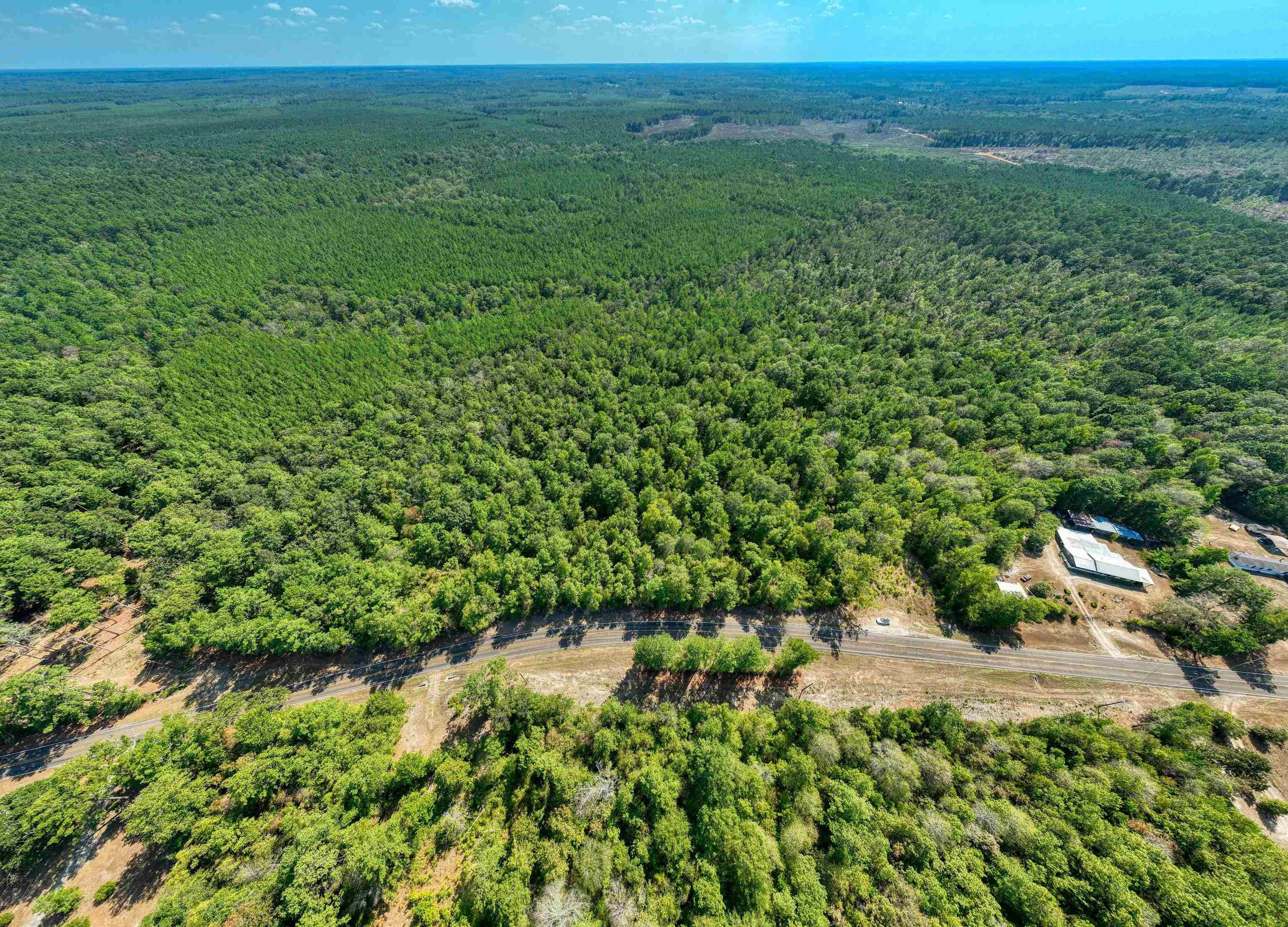 36.5 acres in Newton County, Texas
