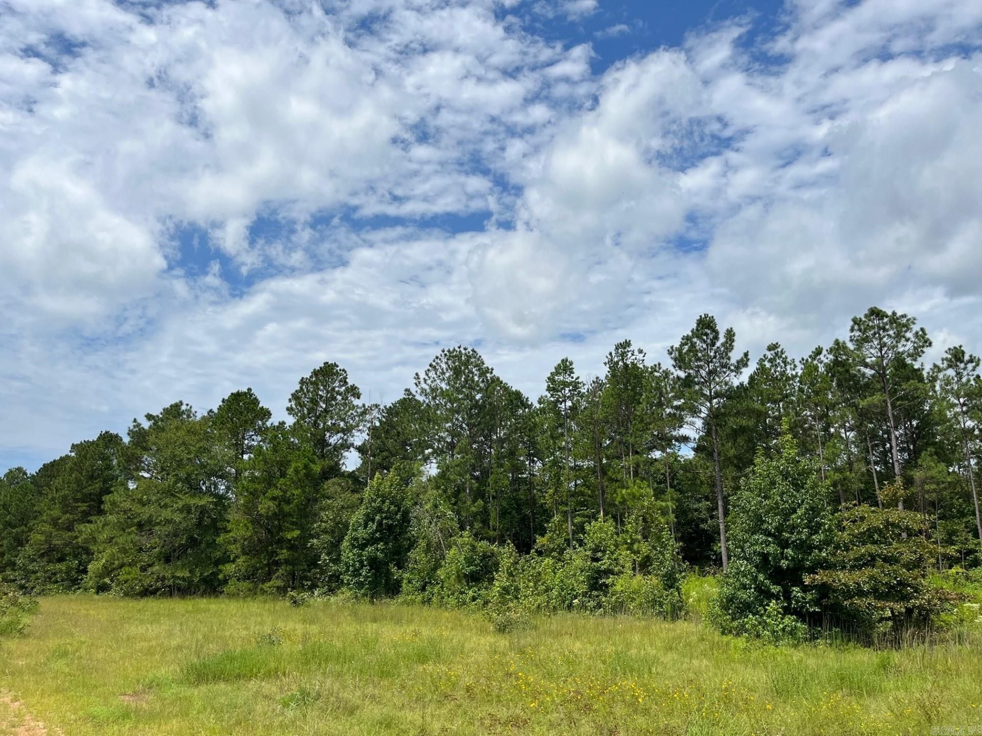 40 acres in Hot Spring County, Arkansas