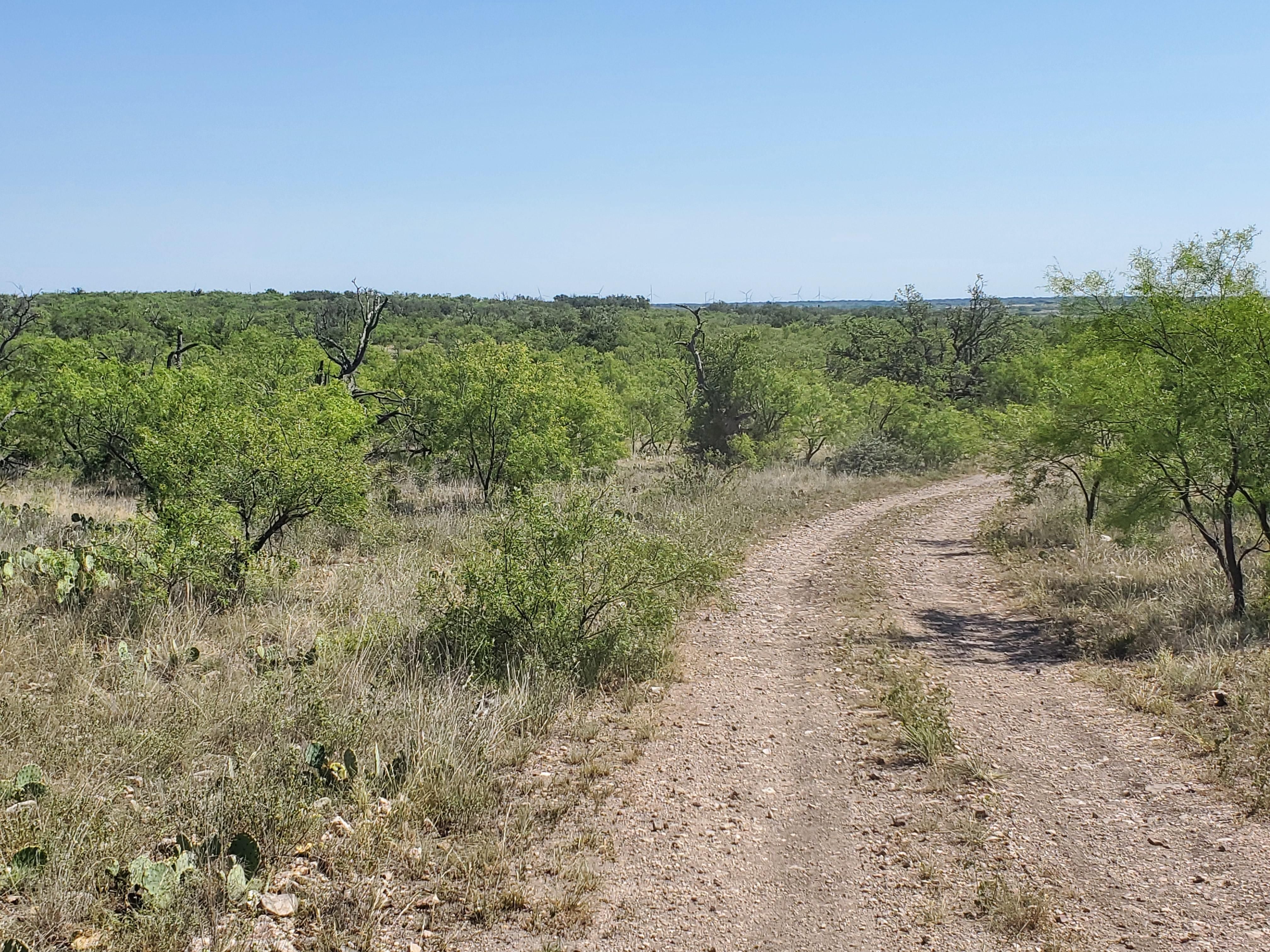 19.52 acres in Menard County, Texas