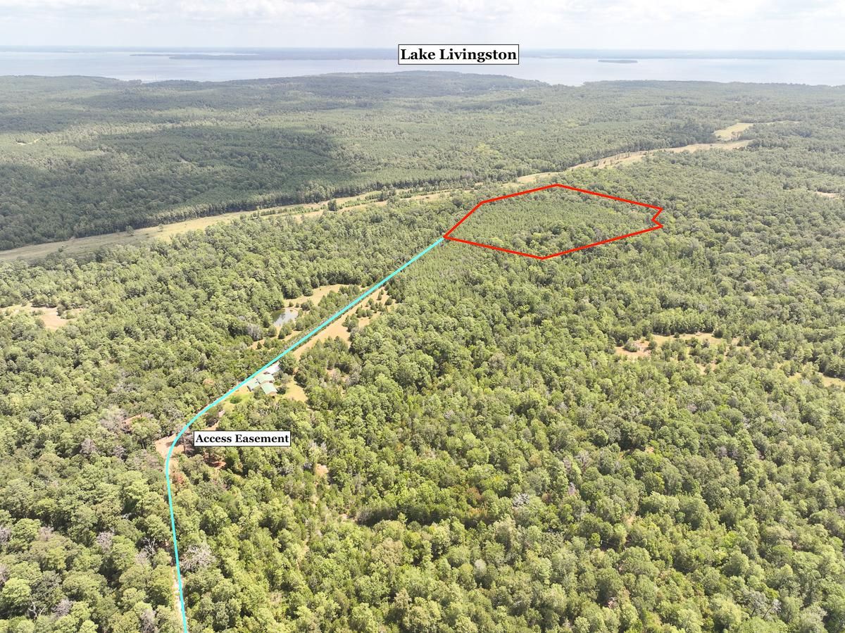 o Walters Lane, Coldspring, TX 77331 MLS