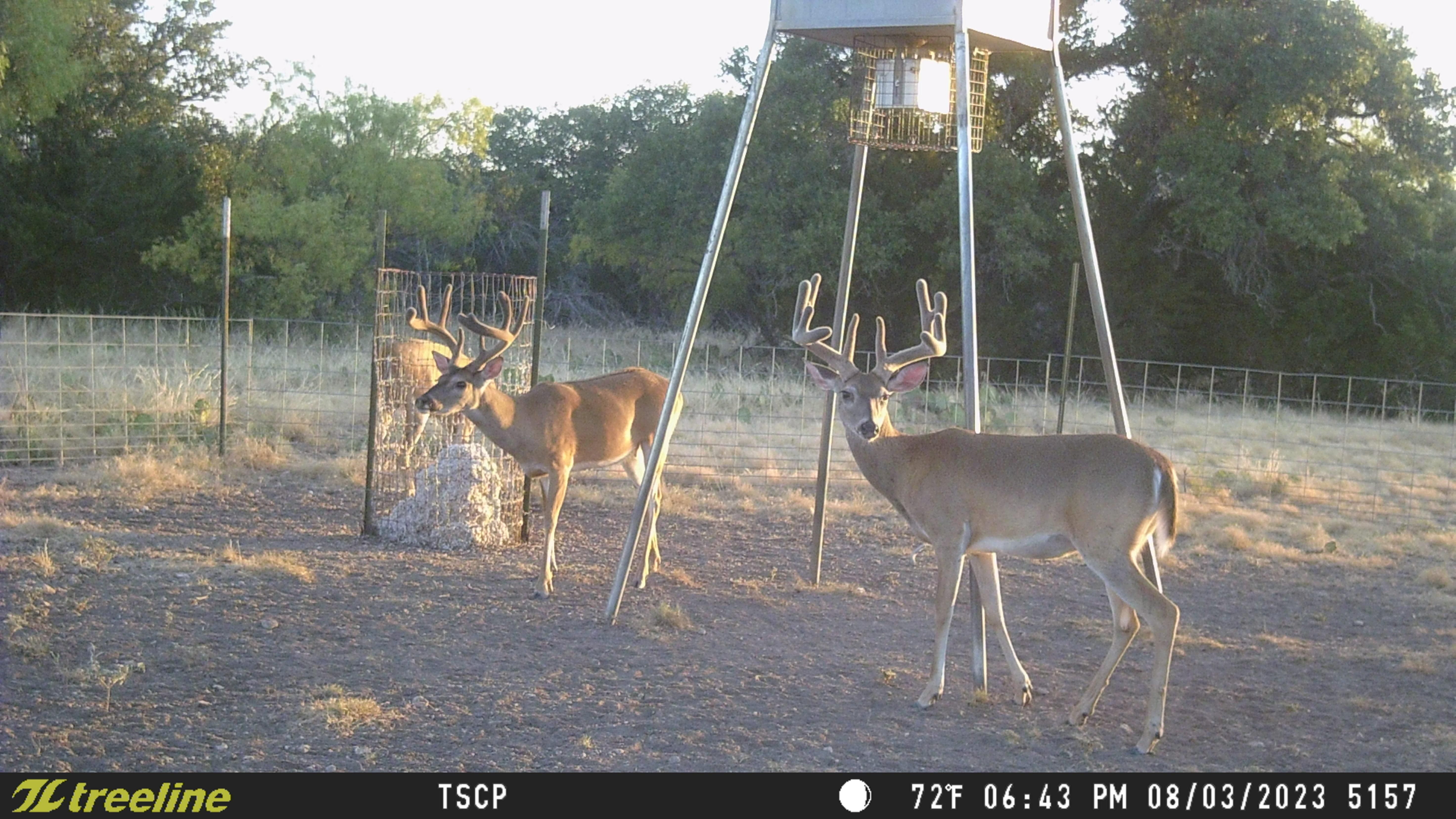 1,120 acres in Eldorado, TX, 76936