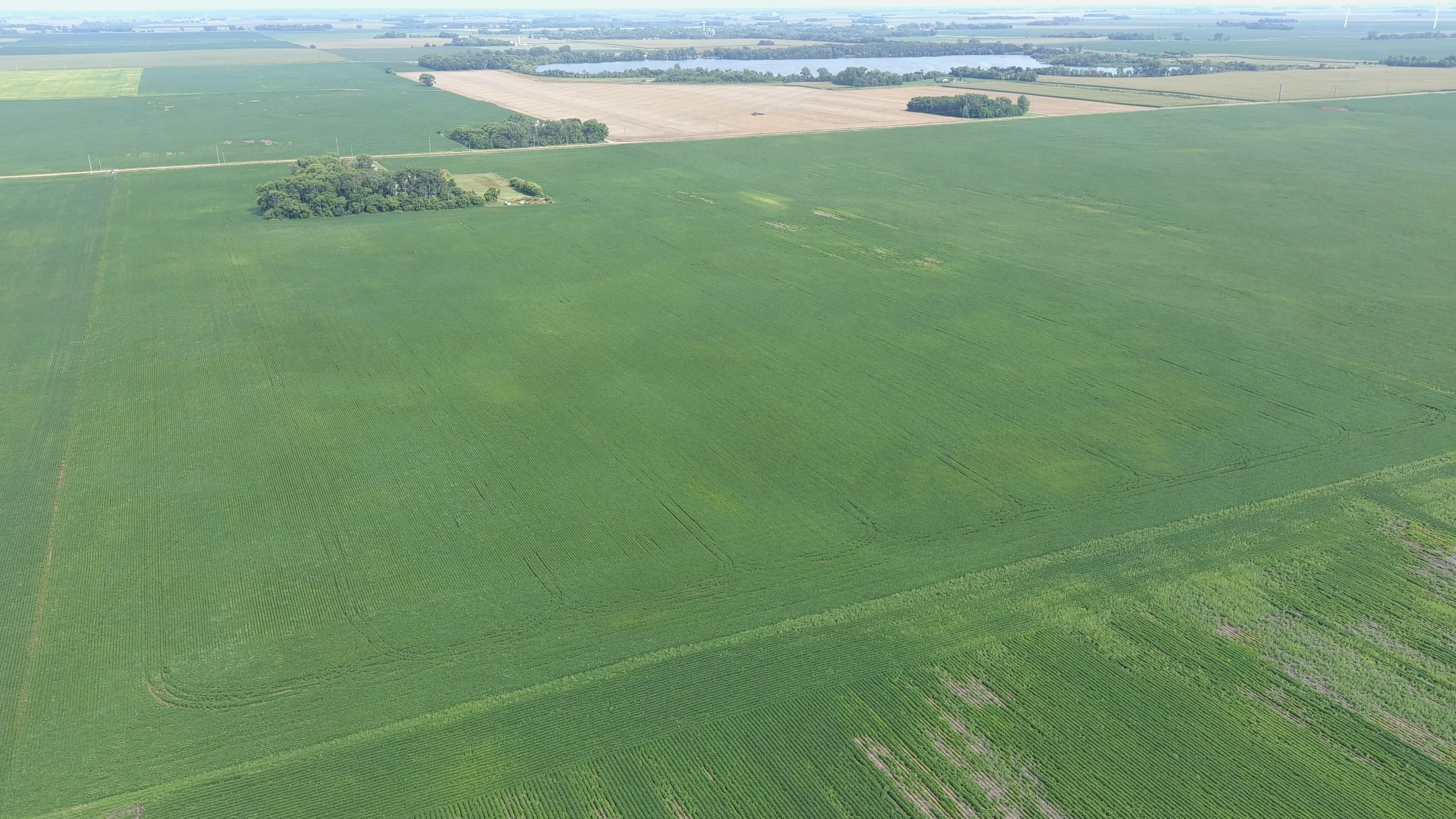 XXX 515th Avenue, Cosmos, MN 56228