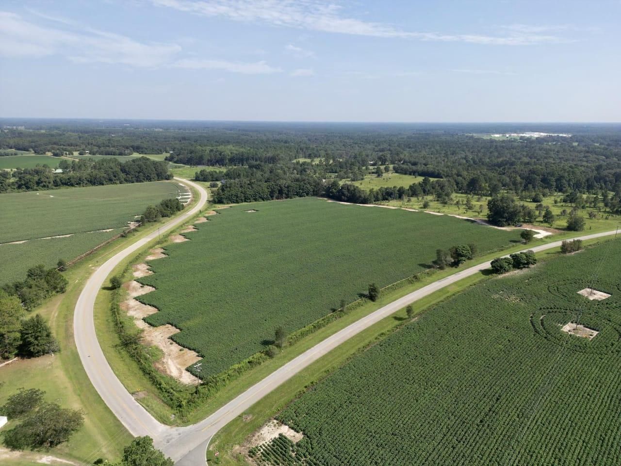 16.24 acres in Brooks County,