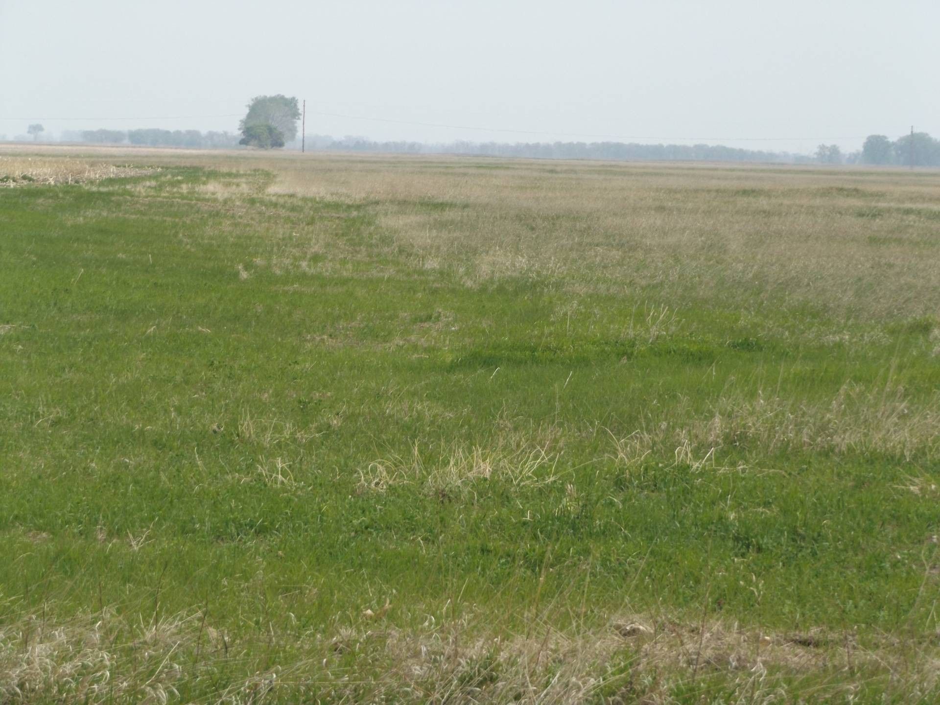 640 acres in Renville County, North Dakota