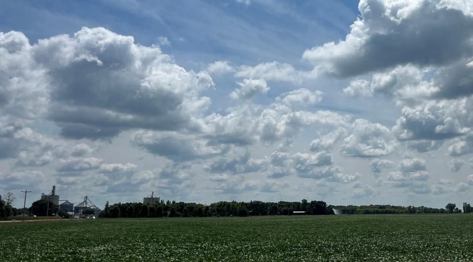 67 acres in Palo Alto County, Iowa