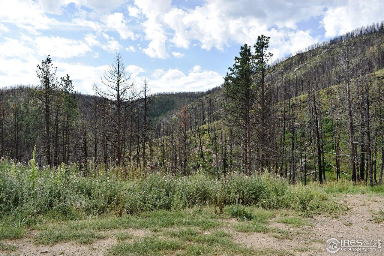 40 acres in Larimer County, Colorado