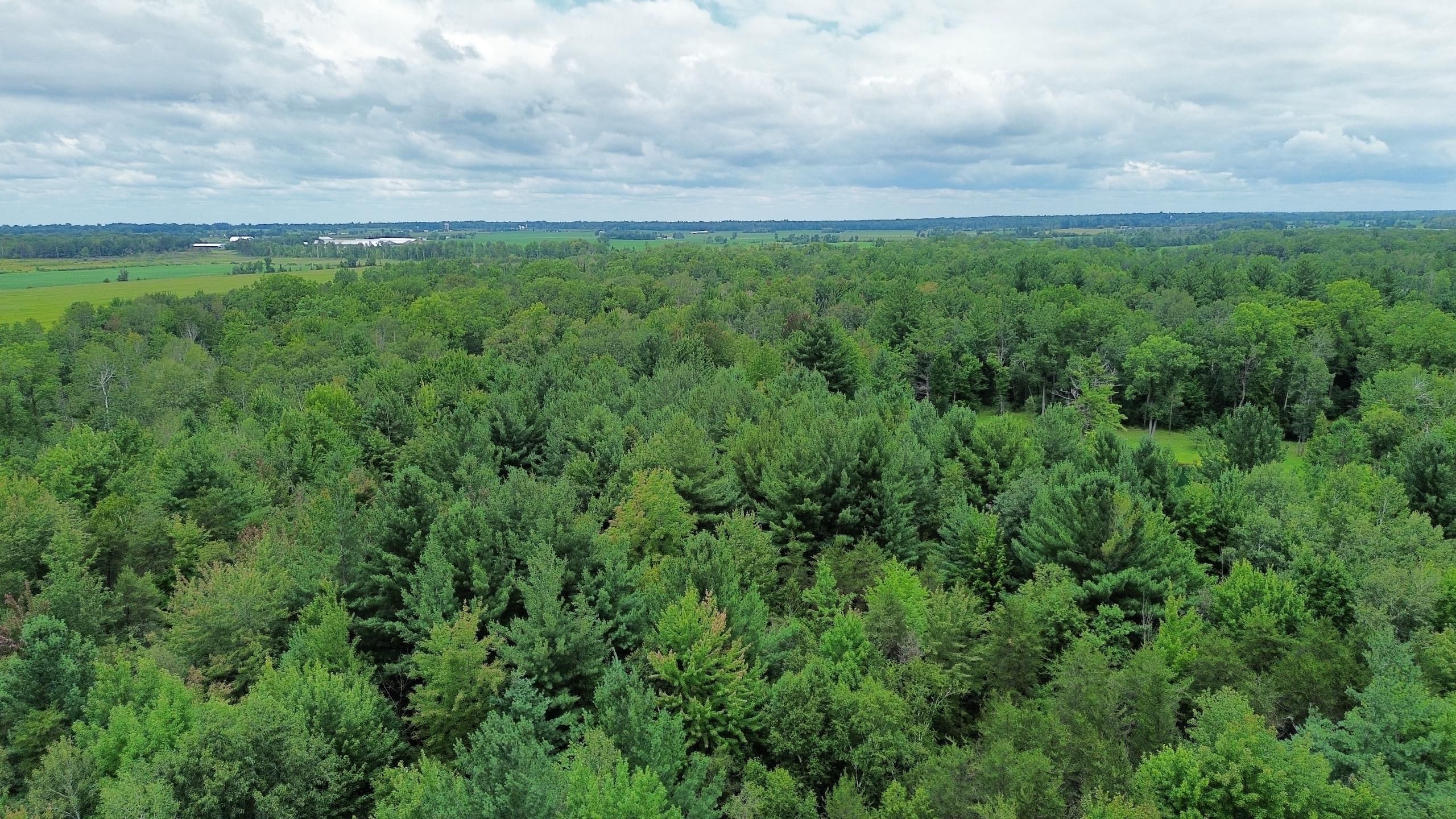 VL M61, LotWP01, Standish, MI 48658