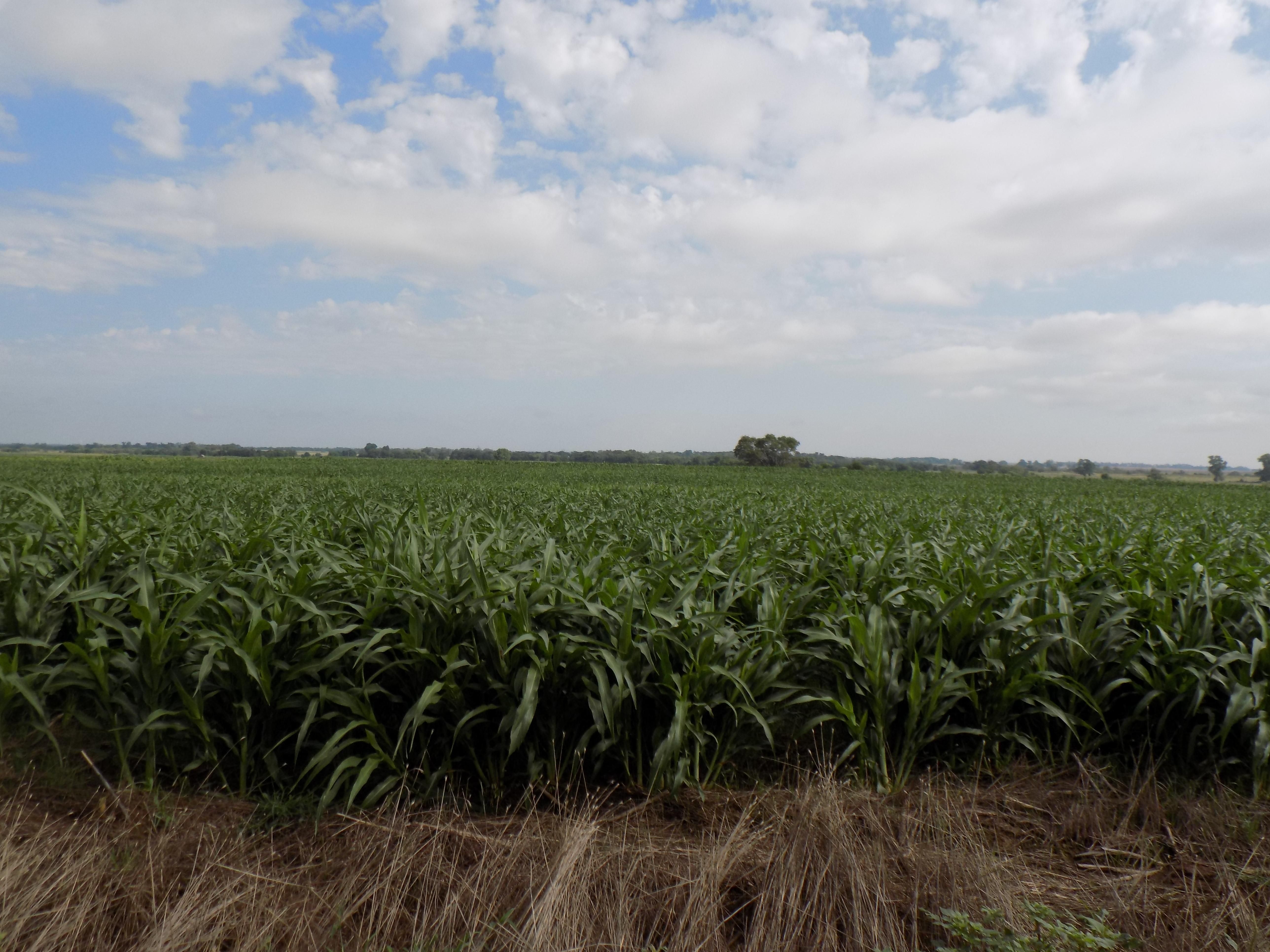 179.67 acres in Harper County, Kansas